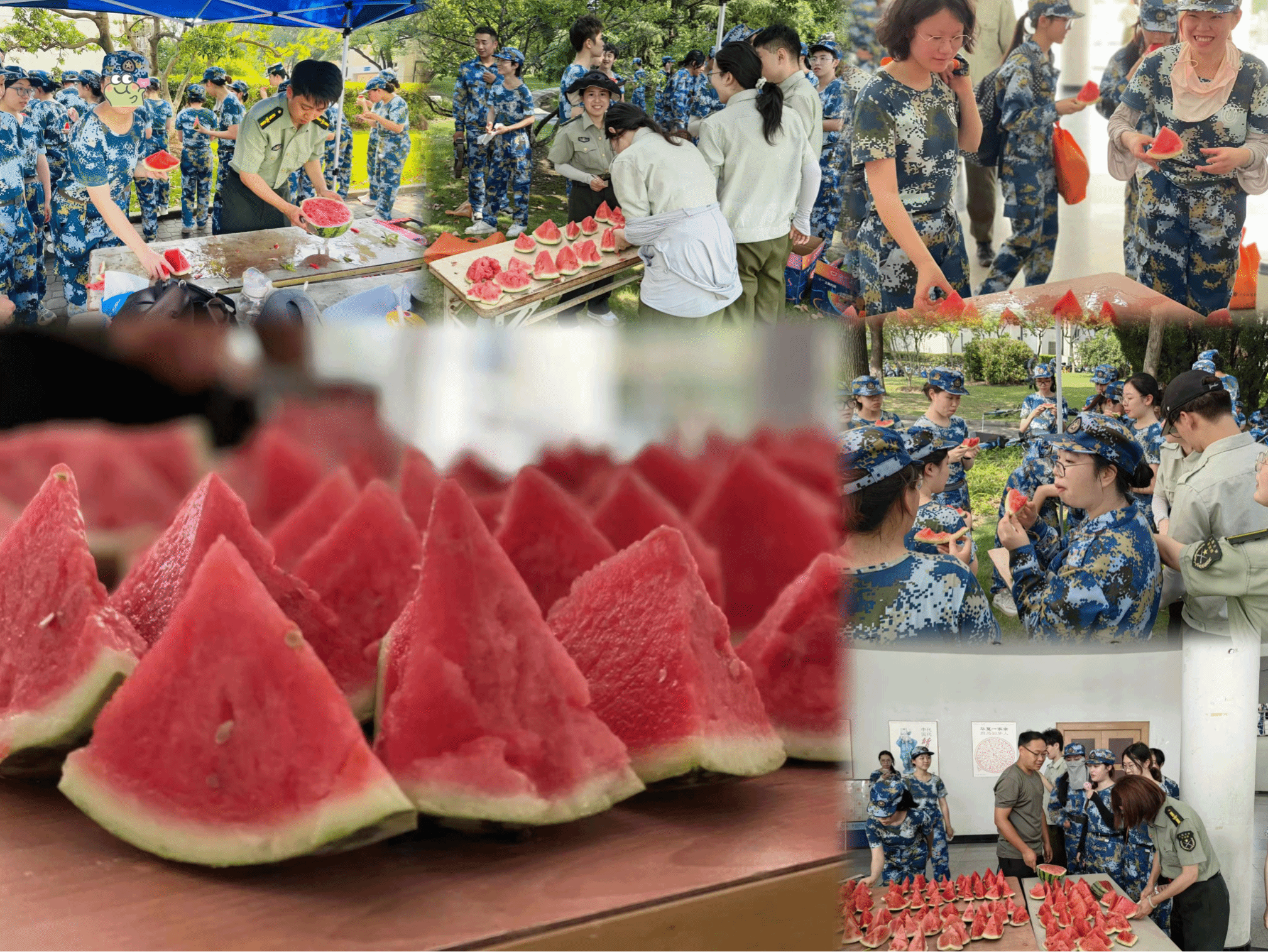 圖片15.png 圖片15.png